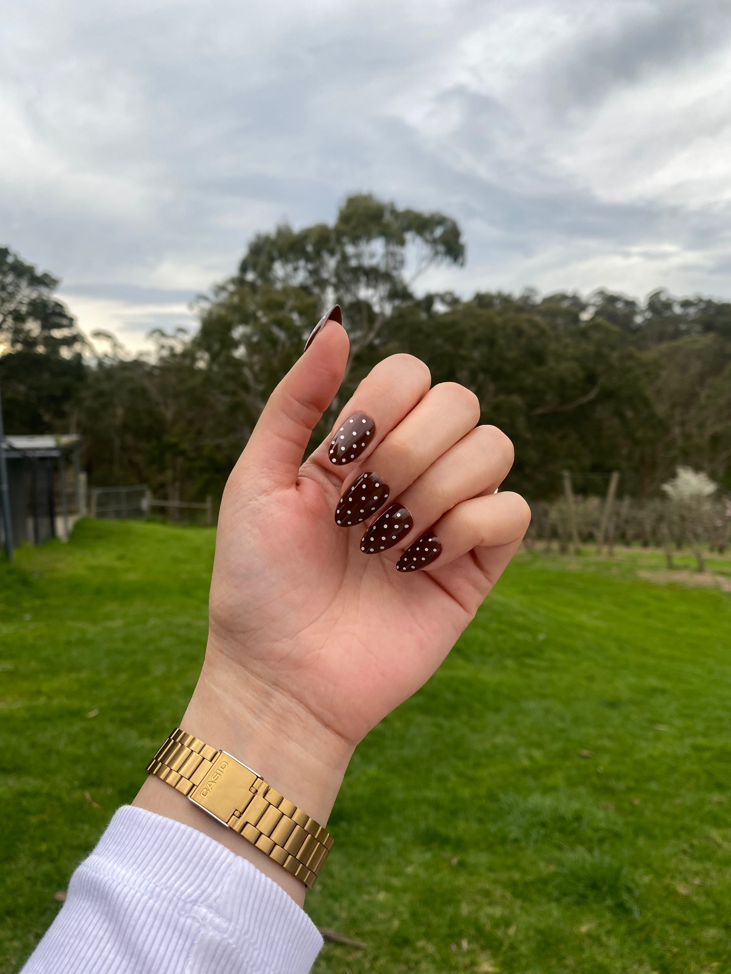 Brown Polka Dot Press-On Nails