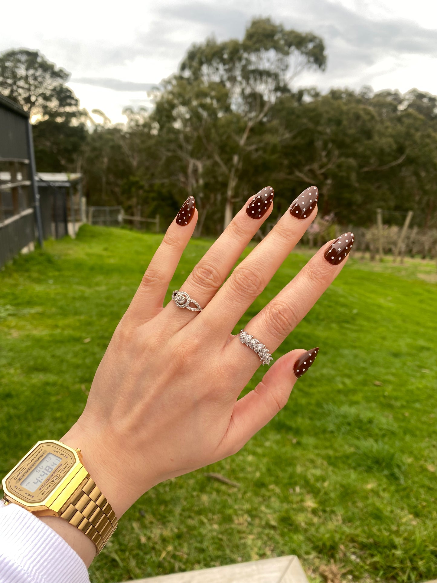 Brown Polka Dot Press-On Nails